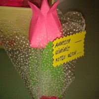 kağit işleri,sınıf süsü ,gelişim raporu ,atatürk haftası (2091)