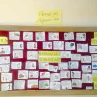 sanat etkınliği ,okuma yazmaçalişması 23 nisan çalişması ,kutlu doğum artık materyal çalişması  (2008)