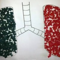 sanat etkınliği ,okuma yazmaçalişması 23 nisan çalişması ,kutlu doğum artık materyal çalişması  (595)