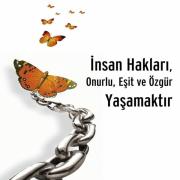14231246_insan_haklari1