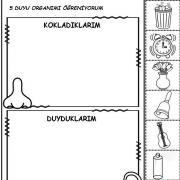 5514572f22256e64e4708b1c253dd637