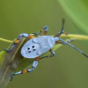 6968268772_11e0e1ee74