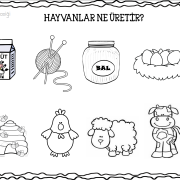 7280c959f505e504364e84f9ac1c9983