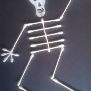 anasınıfı-iskelet