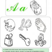 ca0aab8af54ee995d2c6e291196d9a88