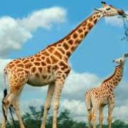 cc646f40c4ab7a68721e36ded0912f41