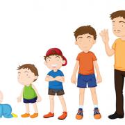 gelısım donemı (4)