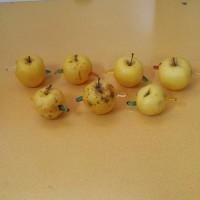 okul öncesınde kağit işler, duvar süsü ,davetiye kartları ,suluboya  çalişması (4565)