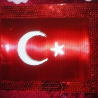 okul öncesınde kağit işler, duvar süsü ,davetiye kartları ,suluboya  çalişması (4575)