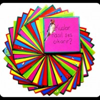 okul öncesınde kağit işler, duvar süsü ,davetiye kartları ,suluboya  çalişması (4756)