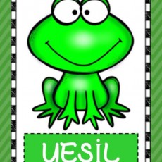 Eğlenceli Yeşil Kurbağa Kartı