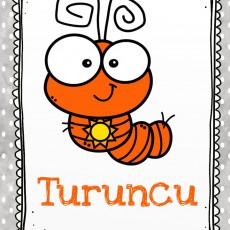 Eğitici Kart: Turuncu Renk ve Sevimli Karınca İllüstrasyonu