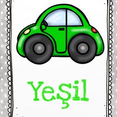 Yeşil Renkli Araç ve Renk Eğitimi