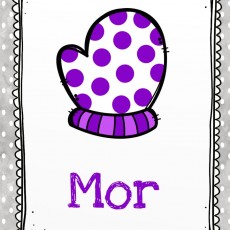 Mor Renk Eğitimi - Mor Renkli Eldiven ve Renk Tanıtımı