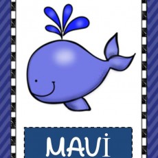 MAVI - Mavi Balina Eğitici Kart