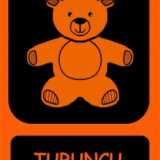Turuncu Renkli Ayıcık Eğitici Kartı