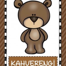 Kahverengi Renk ve Ayı Eğitici Materyali