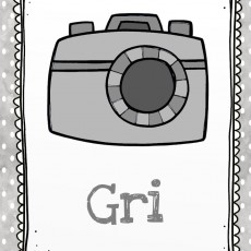 Gri Renk ve Kamera Eğitimi