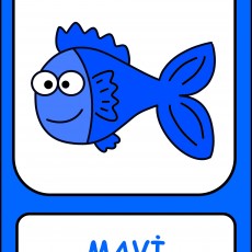 Mavi Balık