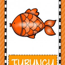 Turuncu Balık Eğitici Kartı
