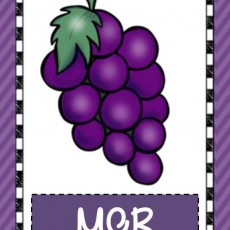 Purple Grapes Educational Material with Letter M, C, R