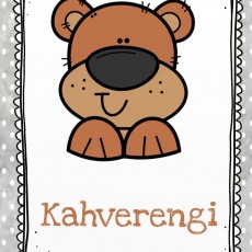 Kahverengi Ayı İllüstrasyonu