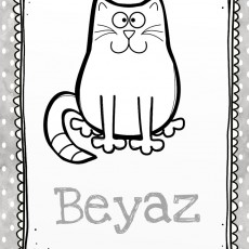 Beyaz Kedi Çizimi ve Renk Öğretimi