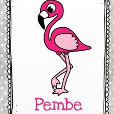 Pembe Flamingo: Hayvanlar ve Renkler Eğitimi