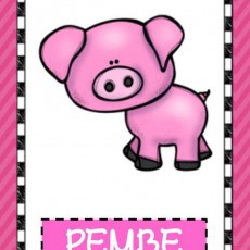 Pembe Domuz Eğitici Materyali