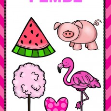 Pembe Renk Temalı Eğitsel Materyal: Karpuz, Pink Domuz, Pamuk Şeker, Flamingo ve Kalp İllüstrasyonları