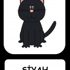 Siyah Kedi ve Renk Eğitimi
