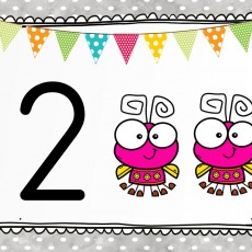 Renkli Baykuşlar ve Sayı 2 Eğitici Kartı