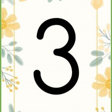 3 (Üç) - Sayı Kartı, Eğitim Materyali