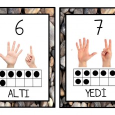 Rakamlar ve Sayılar: 7 YEDİ - 6 ALTı