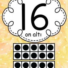 On Altı ve 16 Sayısını Öğrenme Materyali