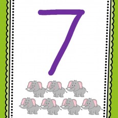 7 Elefant Öğrenme Kartı