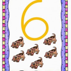 6 HAYVAN - ALTILIS HAYVANLAR