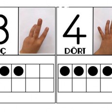 Sayılar ve Parçalar: 3 Üç ve 4 Dört Tanıtımı