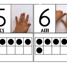 Eğitici Materyal: Rakamlar 5 ve 6 - Sayı Öğrenme Etkinliği