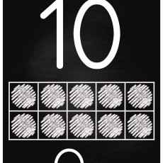10 On: Eğitim Materyali için Sayı ve Grafik Anlatımı