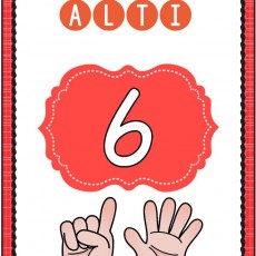 Eğitici Materyal: ALT I 6 (6 Sayısı)