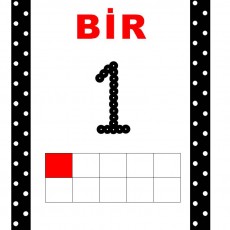 Bir 1 - Sayılar ve Harfler Öğretimi