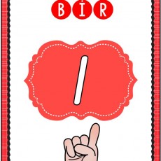 Bir-1-Eğitim Materyali