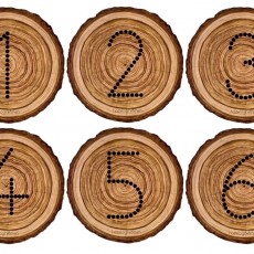 Matematiksel İşlemler: 6 Farklı Sembol ile Temel Matematik Kavramları Eğitimi