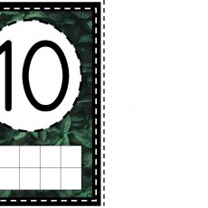 Sayı ve Çizim Materyali: 10 (On)