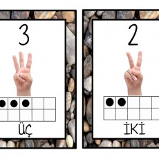 Rakamlar ve Sayılar: 2 İki, 3 Üç - Temel Matematik Öğrenimi