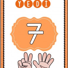 YEDİ - 7 Sayısı ve İşaret Dili ile Anlatımı