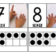 Sayıların Öğrenilmesi: 8 (SEKİZ) ve 7 (YEDİ) ile Toplama ve Sayma Uygulamaları