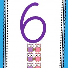 Hayvanlar ve Sayılar: 6 (Altı) Baykuş