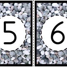 Sayı ve Harf Eğitimi: 6 (altı) ve 5 (beş) Sesi ve Şekli